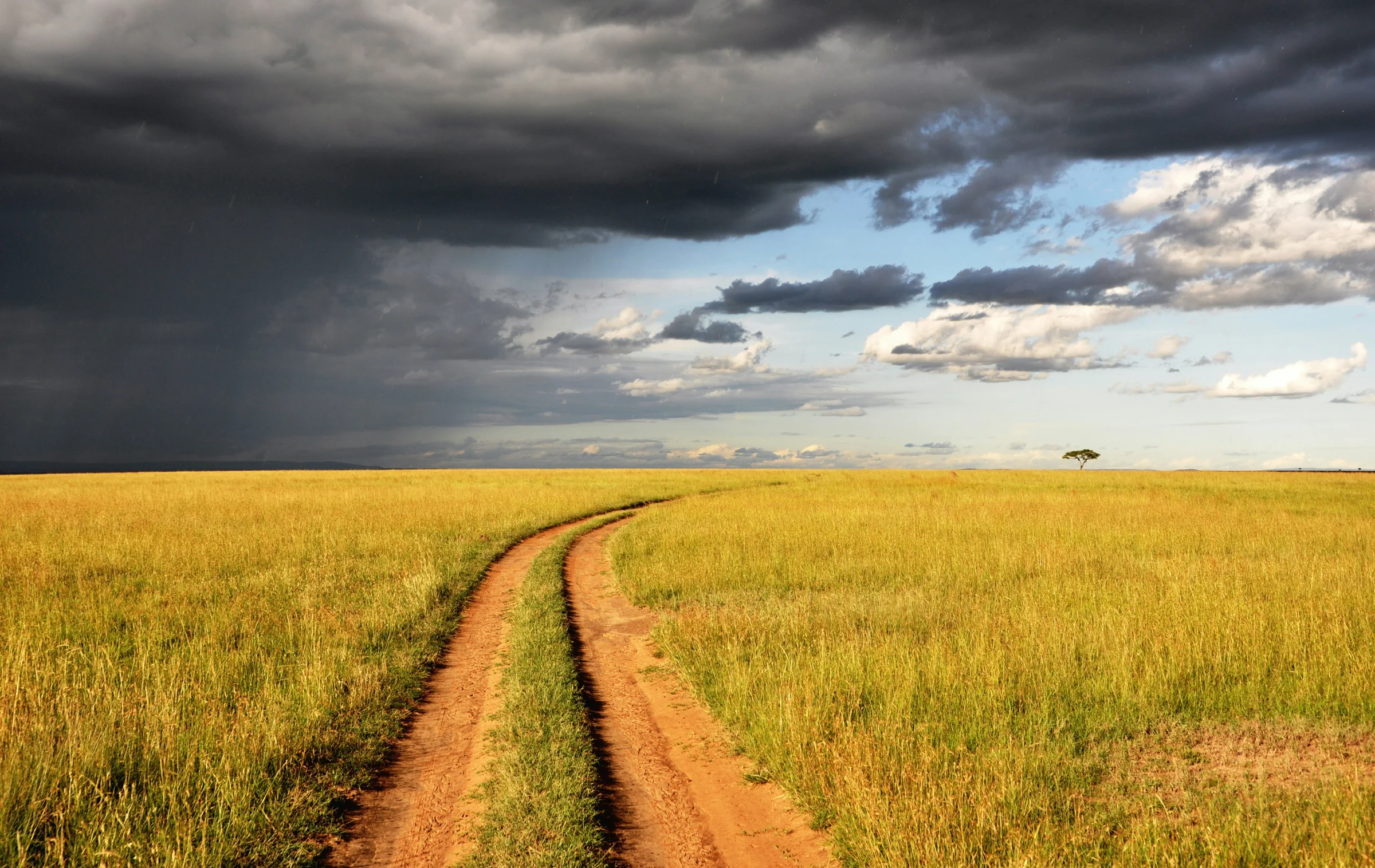 A winding track through golden grassland beneath dramatic clouds